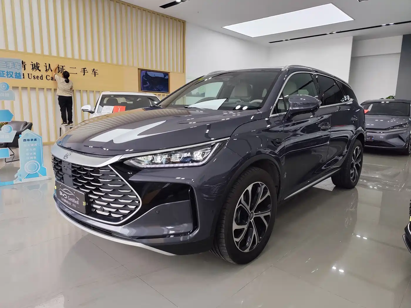 BYD Tang New Energy 2025 2025 Smart Driving Edition DM-i 115KM Flagship