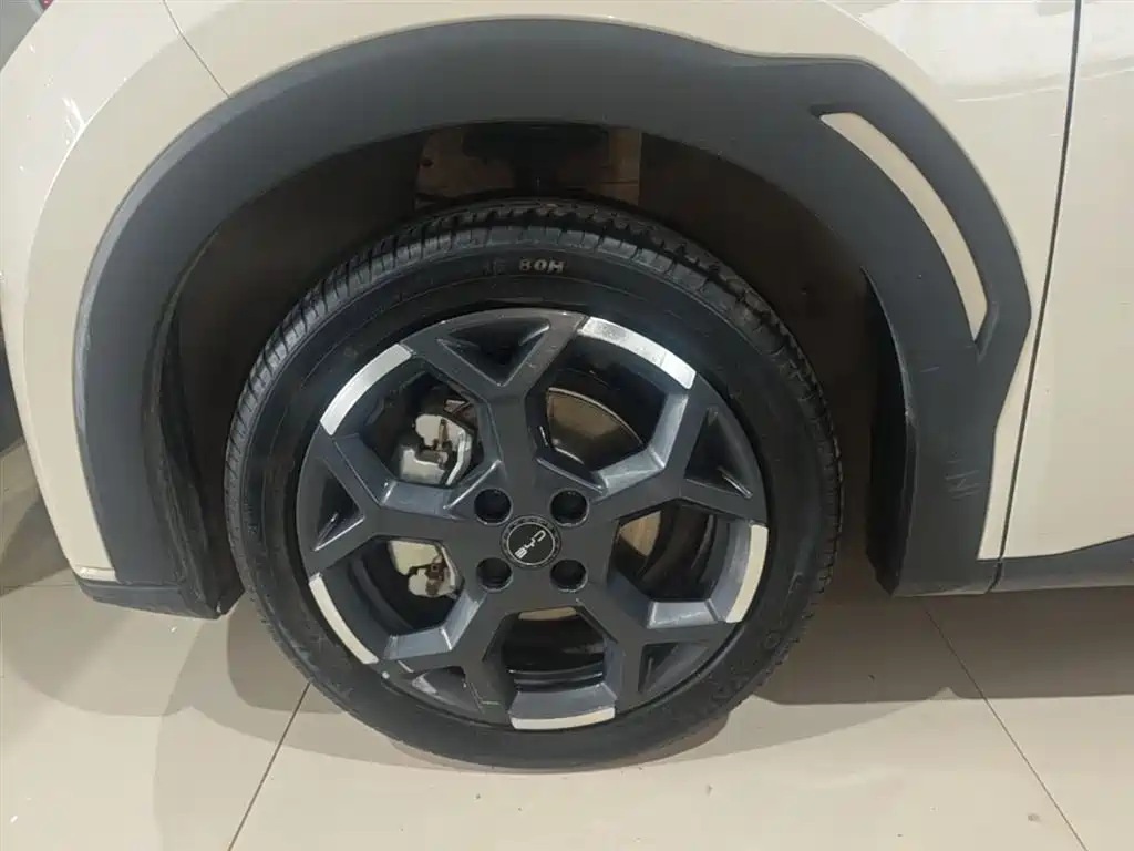 BYD Seagull 2025 305km Freedom фото 23