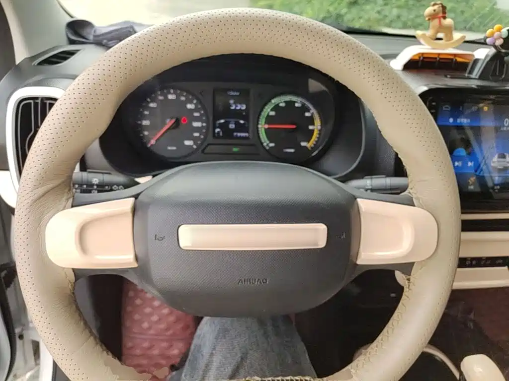 Roewe Kaiwei CLEVER 2023 2022 311km Vitality Bobo Edition