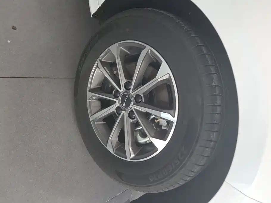 BYD Destroyer 05 2025 2024 Glory Edition DM-i 55KM Luxury