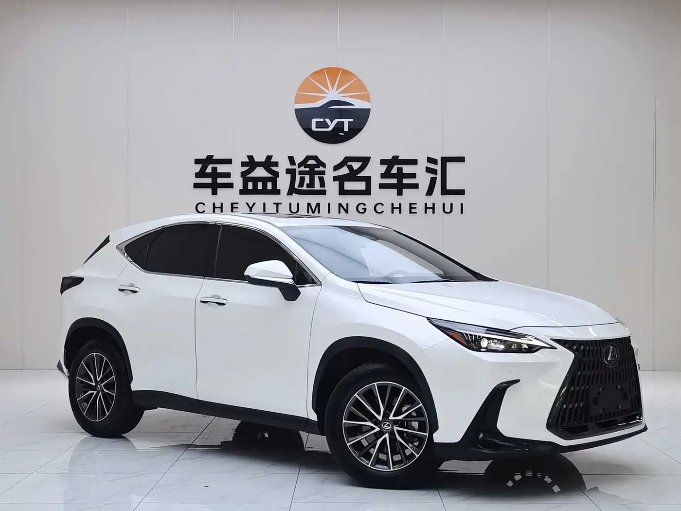 Lexus NX 2023 260 FWD Joy Creation Edition фото 3