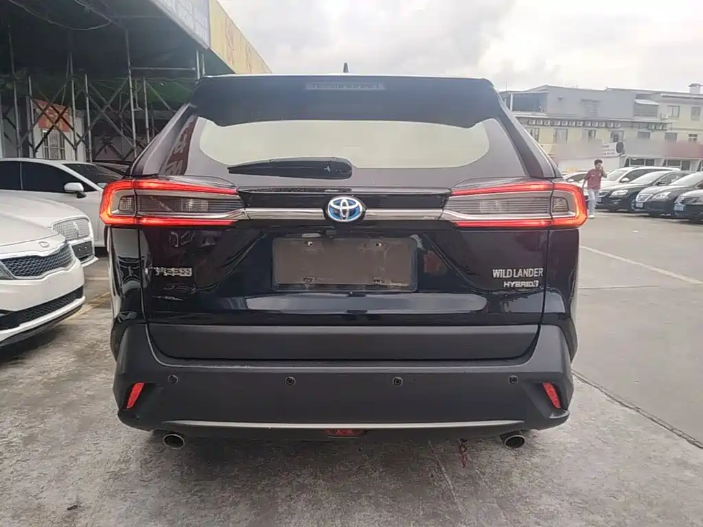 Фото 6 - Toyota Wildlander