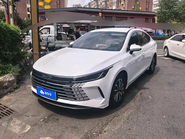 BYD Destroyer 05 2024