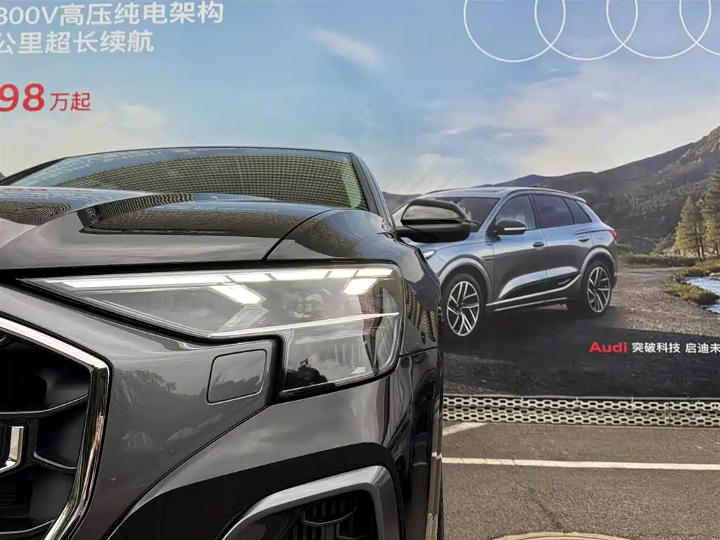 Audi Q8 2025 2024 55 TFSI Luxury Sport