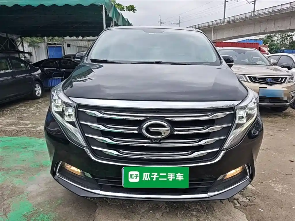 GAC Trumpchi Trumpchi M8 2018 320T Exclusive Edition фото 3