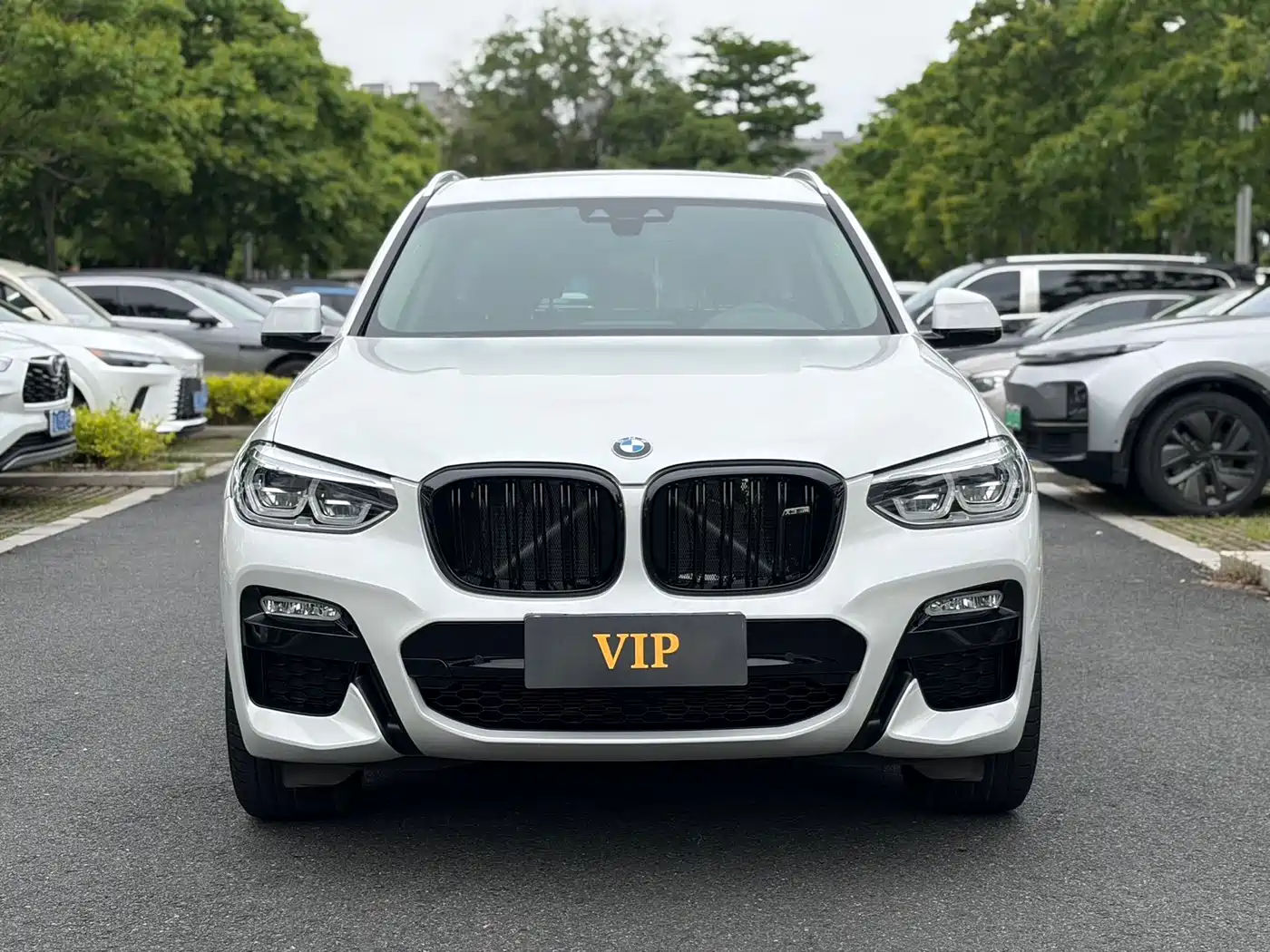 BMW X3 2018 xDrive25i M Sport Package China V фото 19