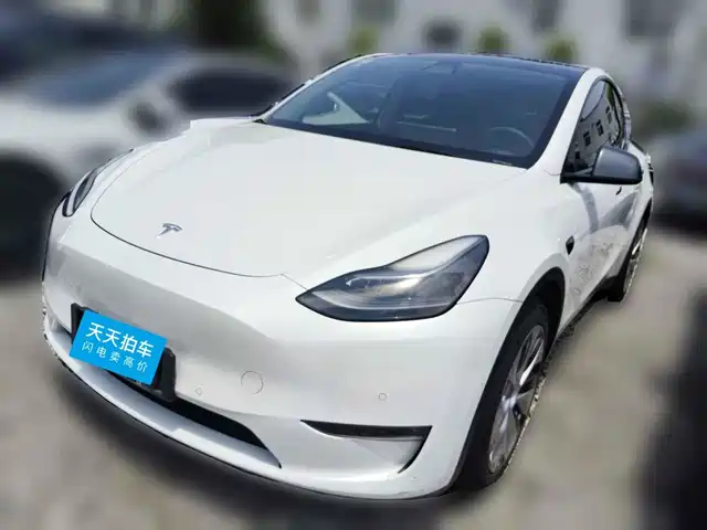 Tesla Model Y 2021