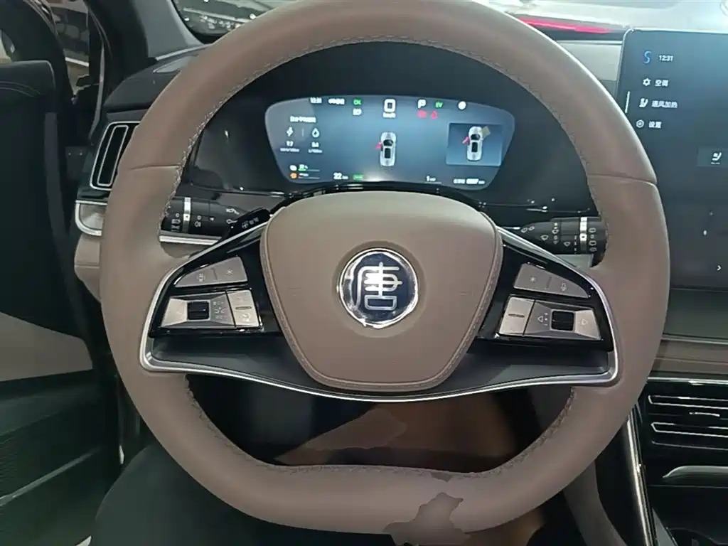 BYD Tang New Energy 2025 Smart Driving Edition DM-i 115KM Flagship фото 11