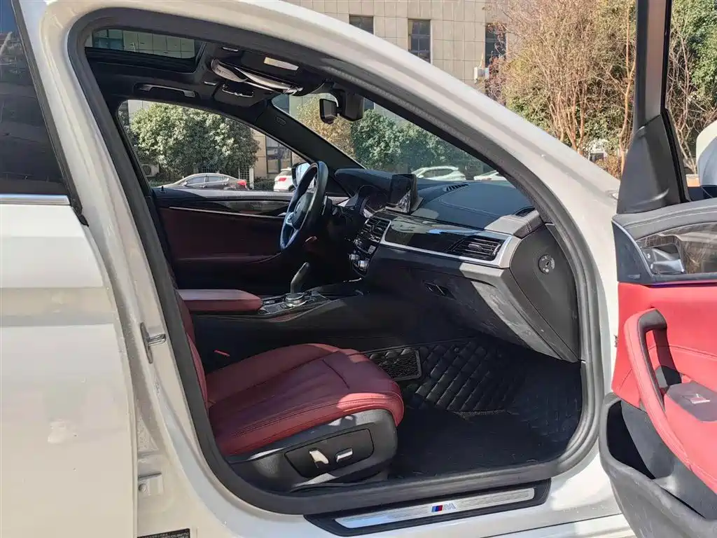 BMW 5 Series 2020 530Li Leading M Sport Package фото 7