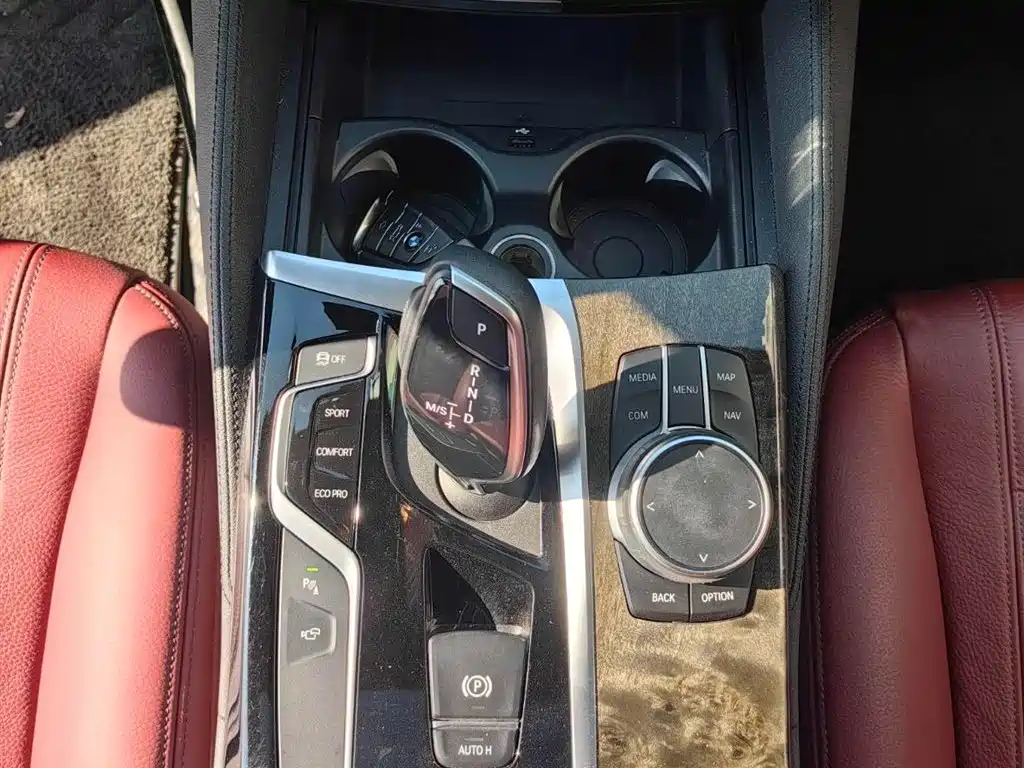 BMW 5 Series 2020 530Li Leading M Sport Package фото 11
