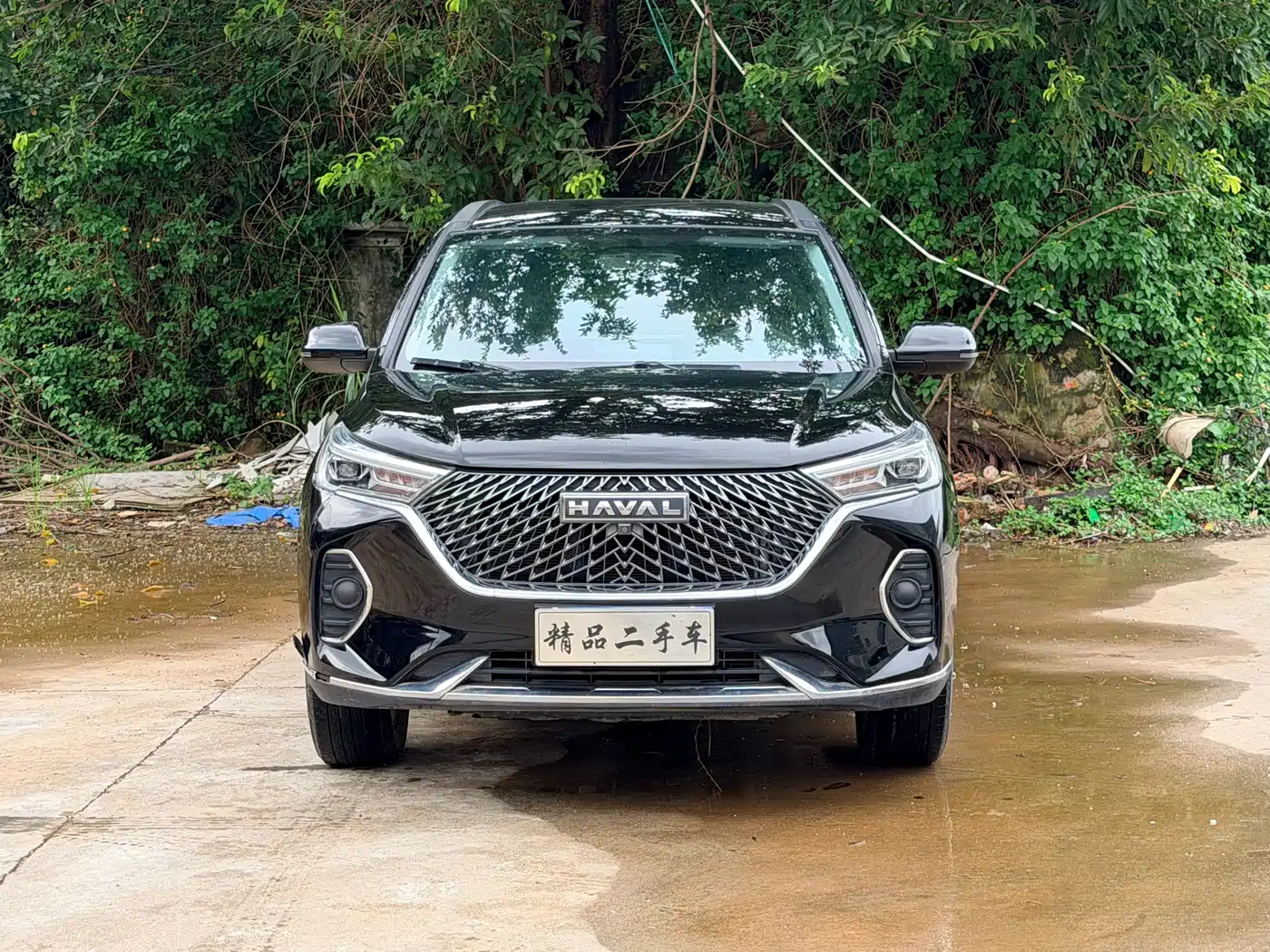 Haval M6 2024 2023 PLUS 1.5T DCT Elite Smart Connect