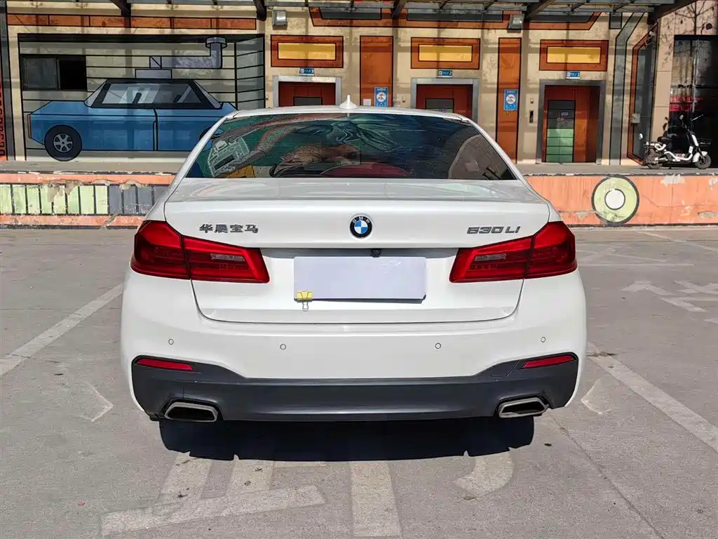 BMW 5 Series 2020 530Li Leading M Sport Package фото 19