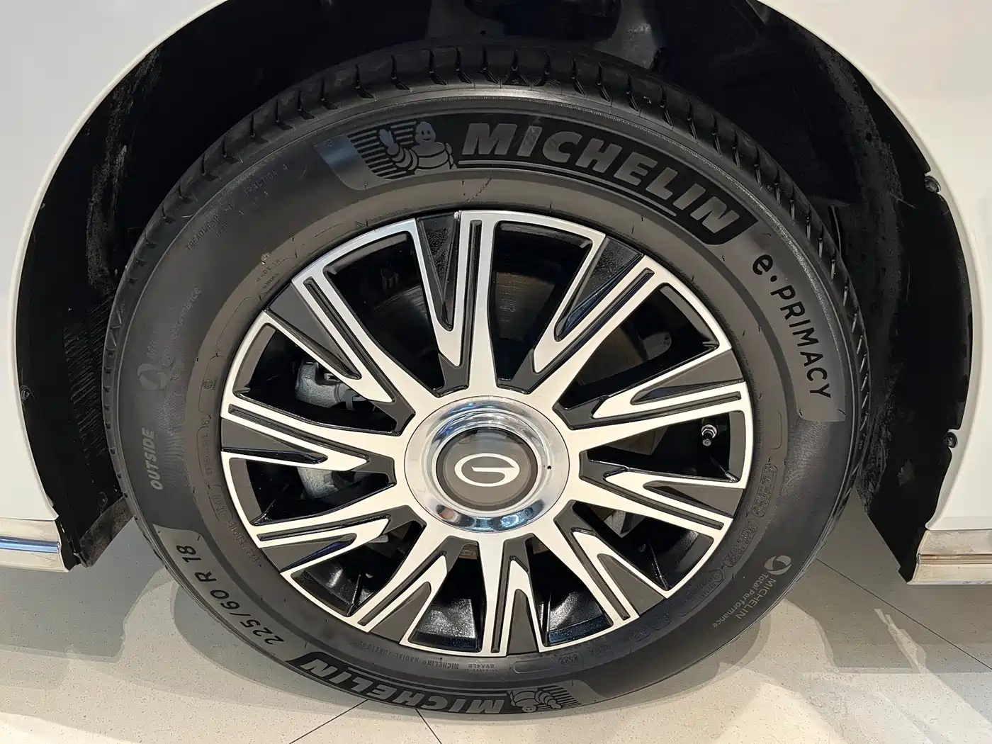 GAC Trumpchi Trumpchi E9 2023 E9 MAX фото 29