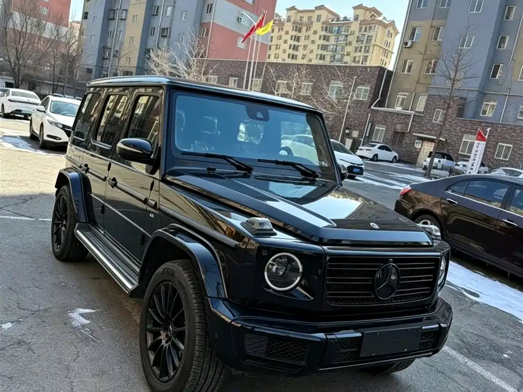 Mercedes-Benz G-Class 2020 G 500 Dark Night Special Edition фото 3