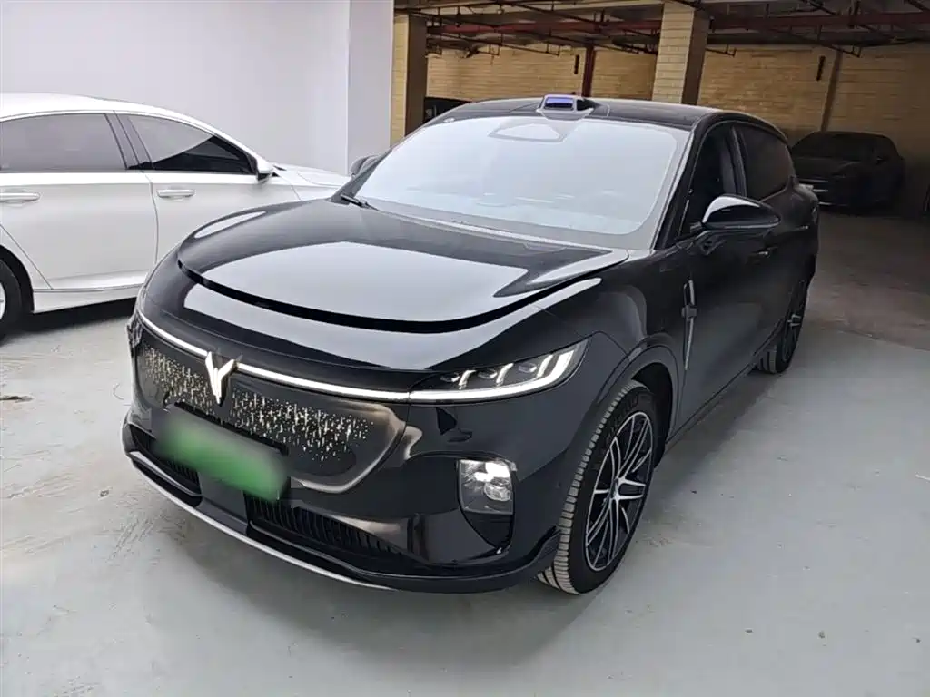 Voyah Auto Voyah Zhiyin 2025 Base