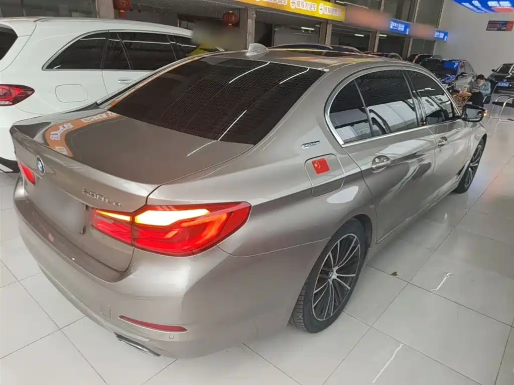 BMW 5 Series New Energy 2019 530Le Luxury Package фото 7