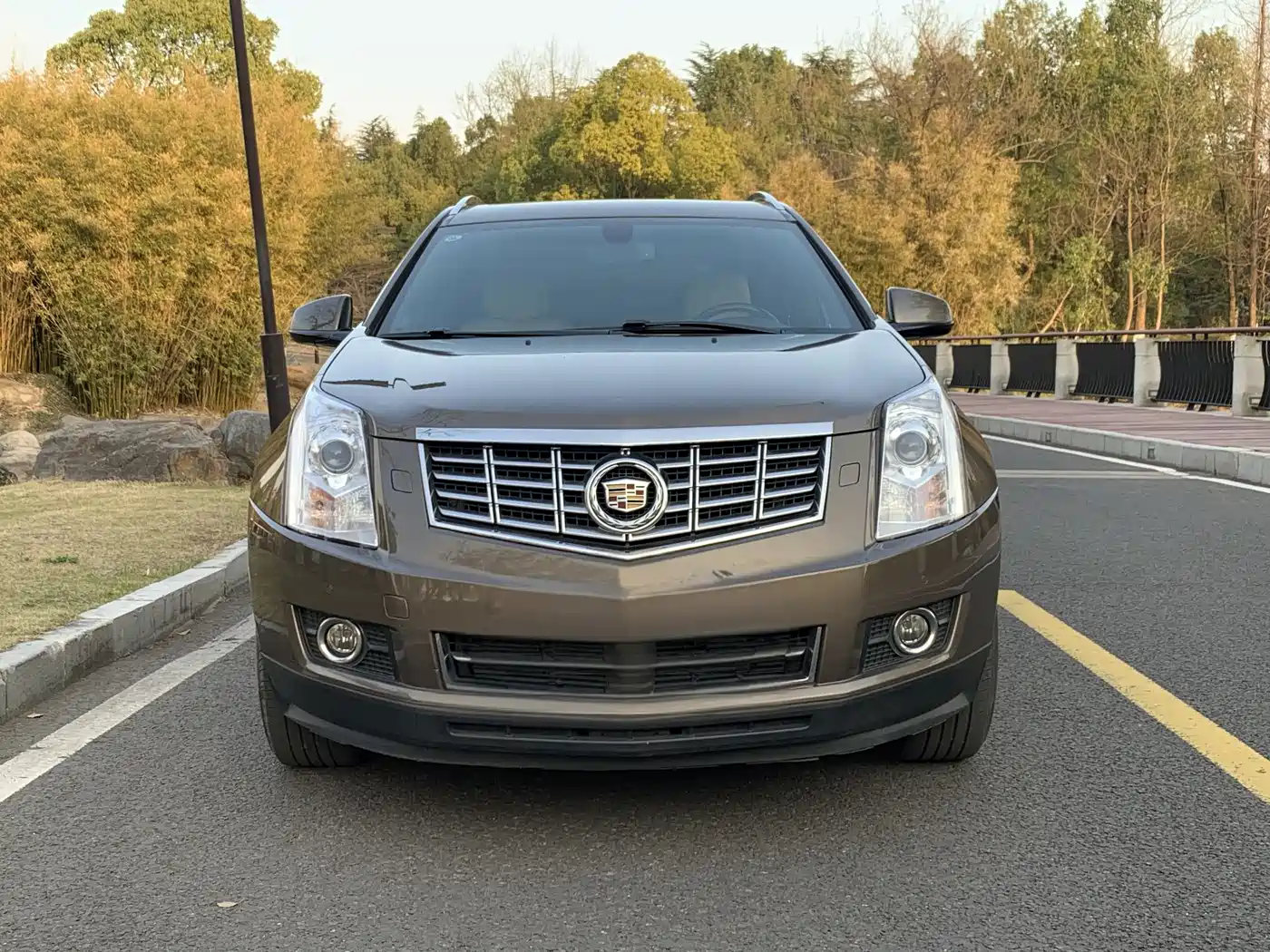Cadillac SRX 2015 3.0L Elite фото 2