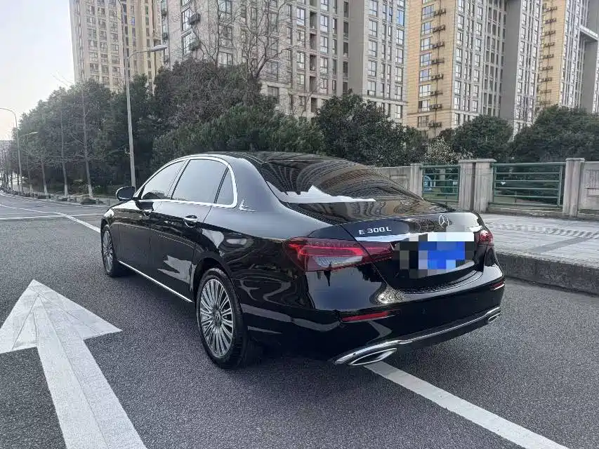 Mercedes-Benz E-Class 2023 E 300 L Luxury фото 12