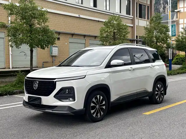  Baojun Baojun 530 2020 1.5T CVT Prestige Connect 6-Seater