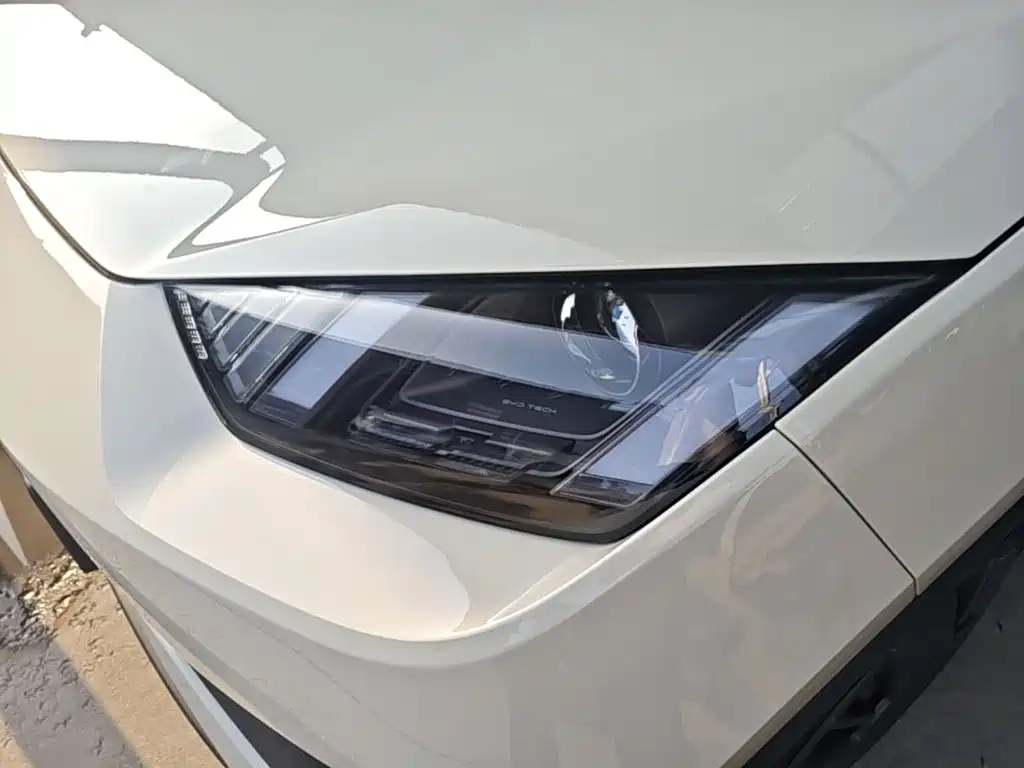BYD Seagull 2026 2025 Smart Drive Edition 305km Vitality Version