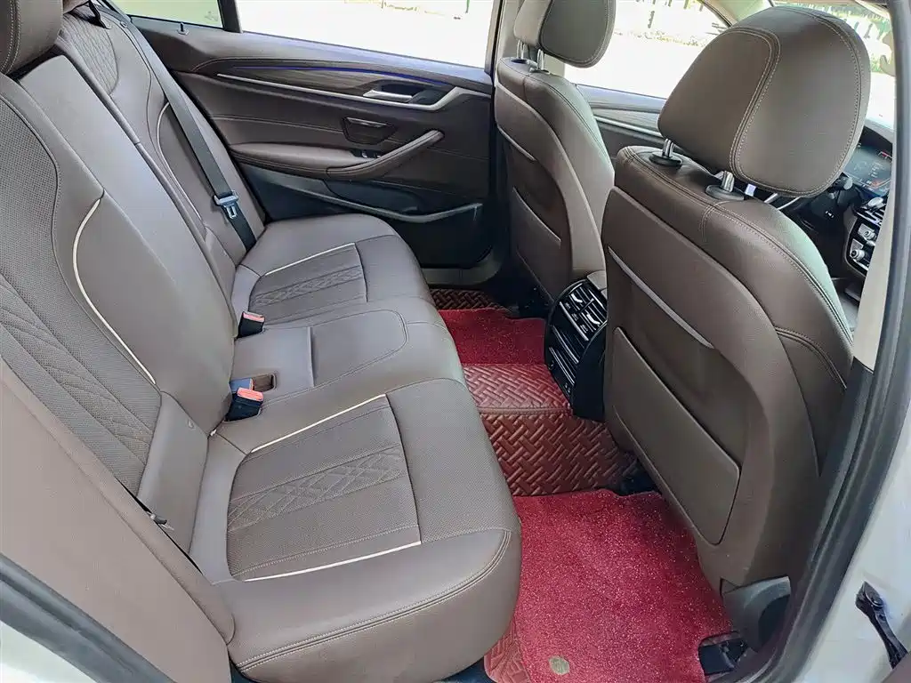 BMW 5 Series 2021 530Li Leading Luxury Package фото 11