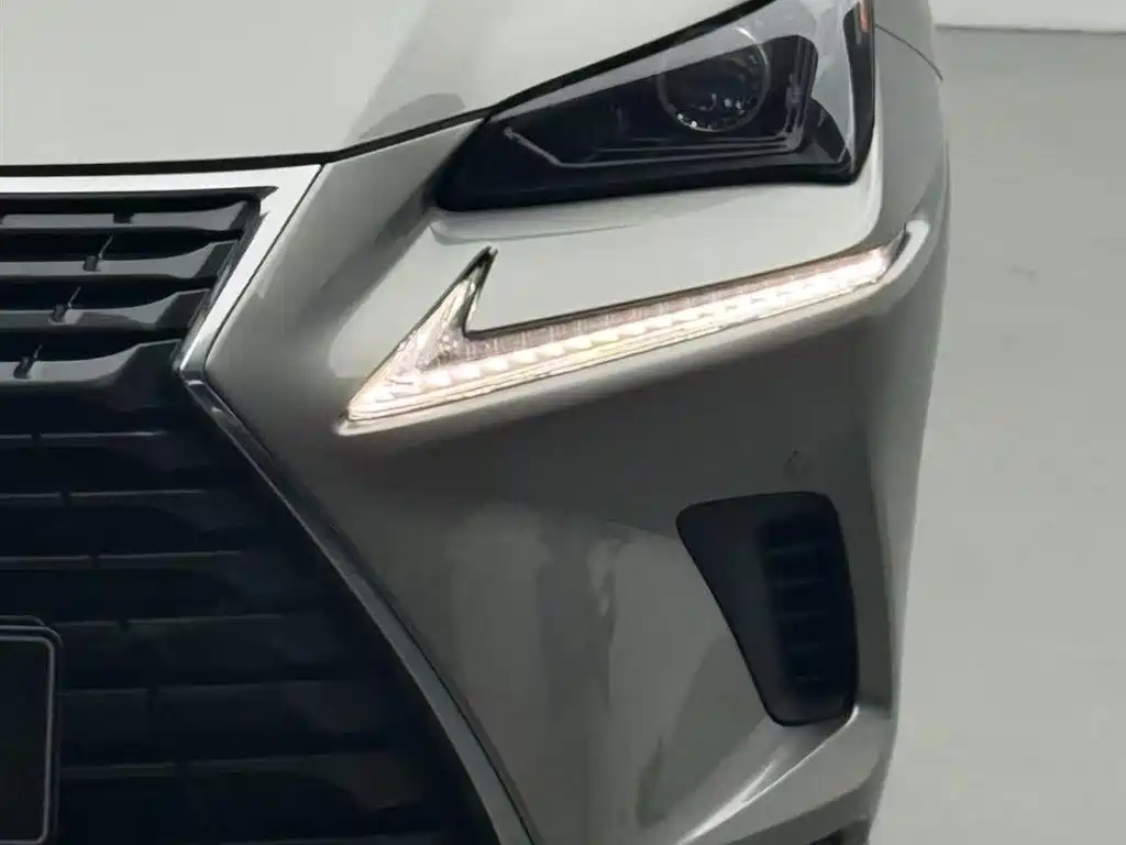 Lexus NX 2018 Model 200 FWD Fengxing Edition China V фото 12