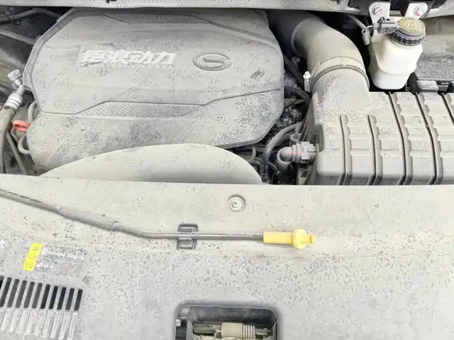 GAC Trumpchi Trumpchi M8 2021 Leading Show Series 390T Prestige Edition — фото 3