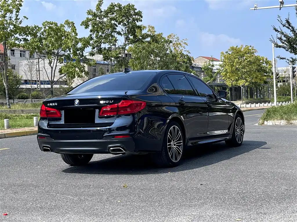 BMW 5 Series 2019 530Li Premium M Sport Package фото 15
