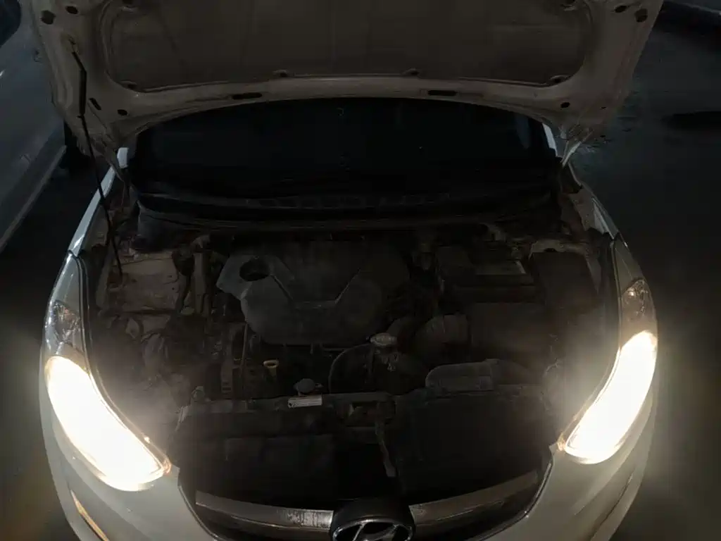 Hyundai Langdong 2015 1.6L Auto Premium фото 20