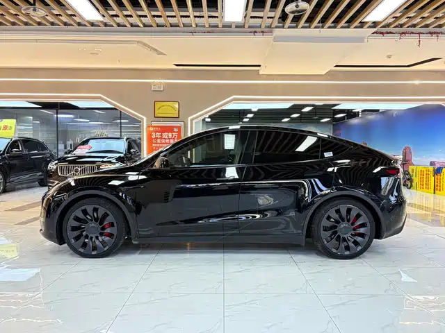 Tesla Model Y 2022 Performance High-Performance All-Wheel Drive Version — фото 2