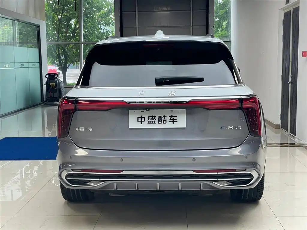Hongqi E-HS9 2021 2021 510km Flagship Comfort 6-seater