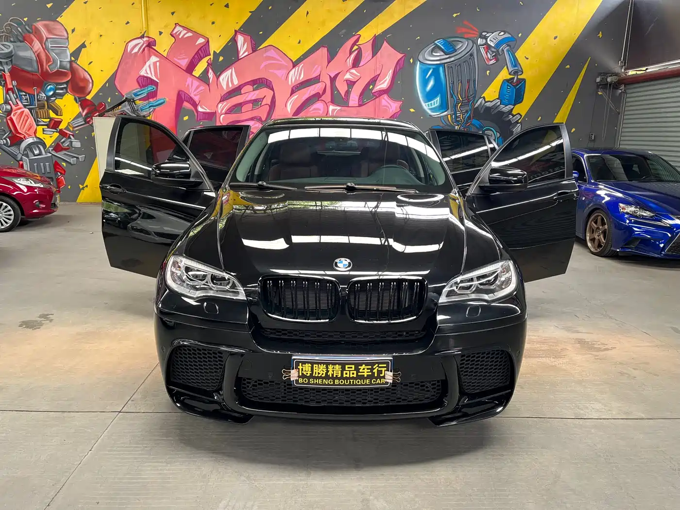 BMW X6 2009 2009 xDrive35i