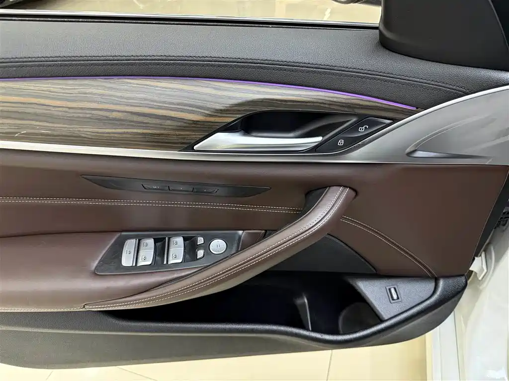 BMW 5 Series 2018 Facelift 530Li Leading Luxury Package фото 12