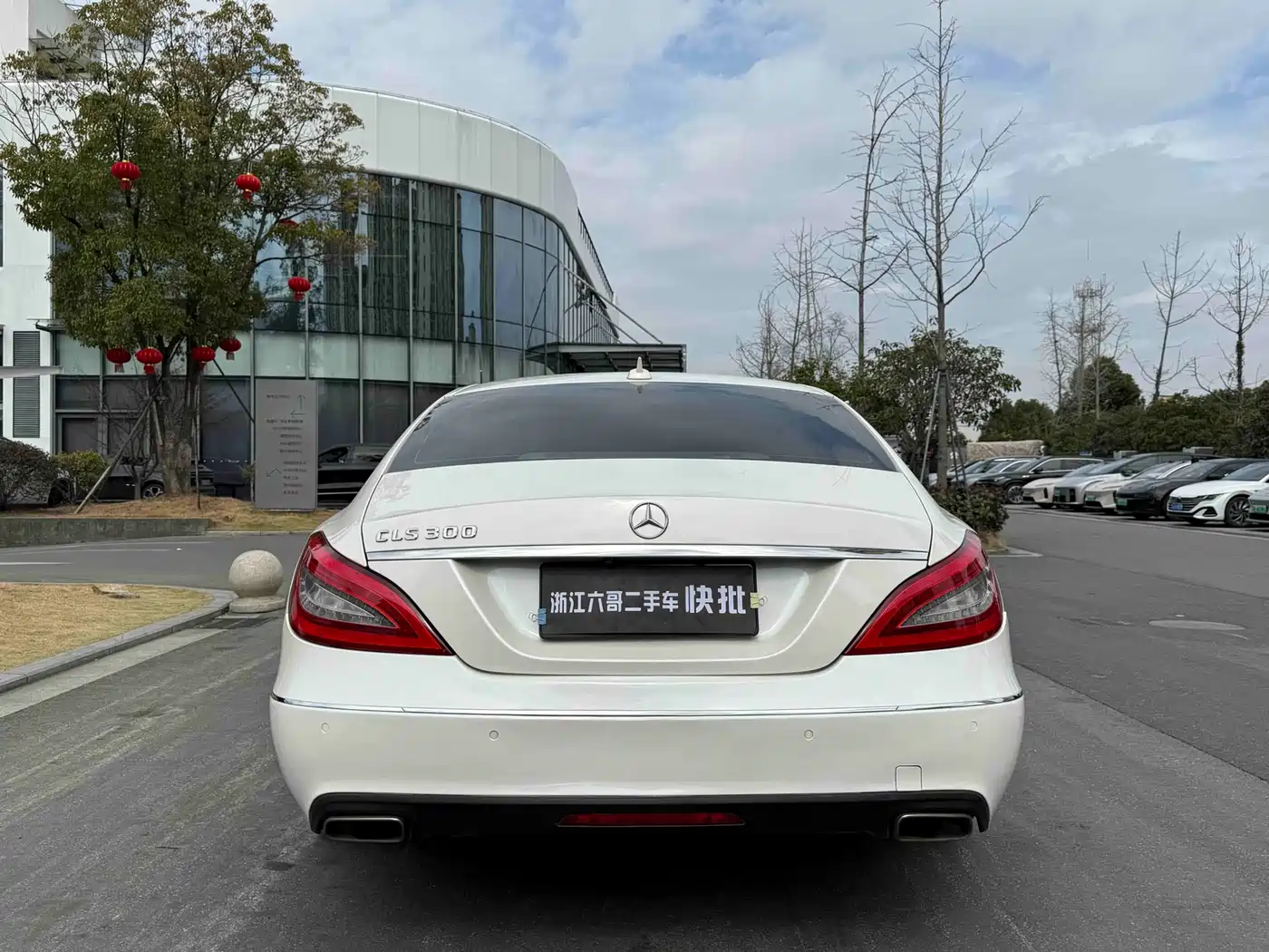 Mercedes-Benz CLS 2012 CLS 300 CGI фото 12