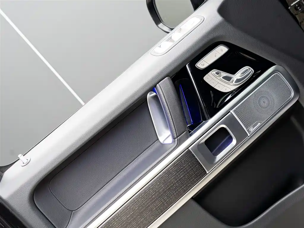 Mercedes-Benz G-Class 2023 G 350 фото 8