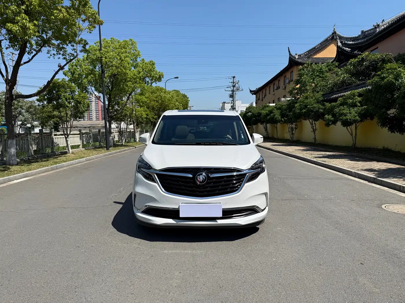 Buick GL8 2021 ES Landlord 653T Luxury фото 2