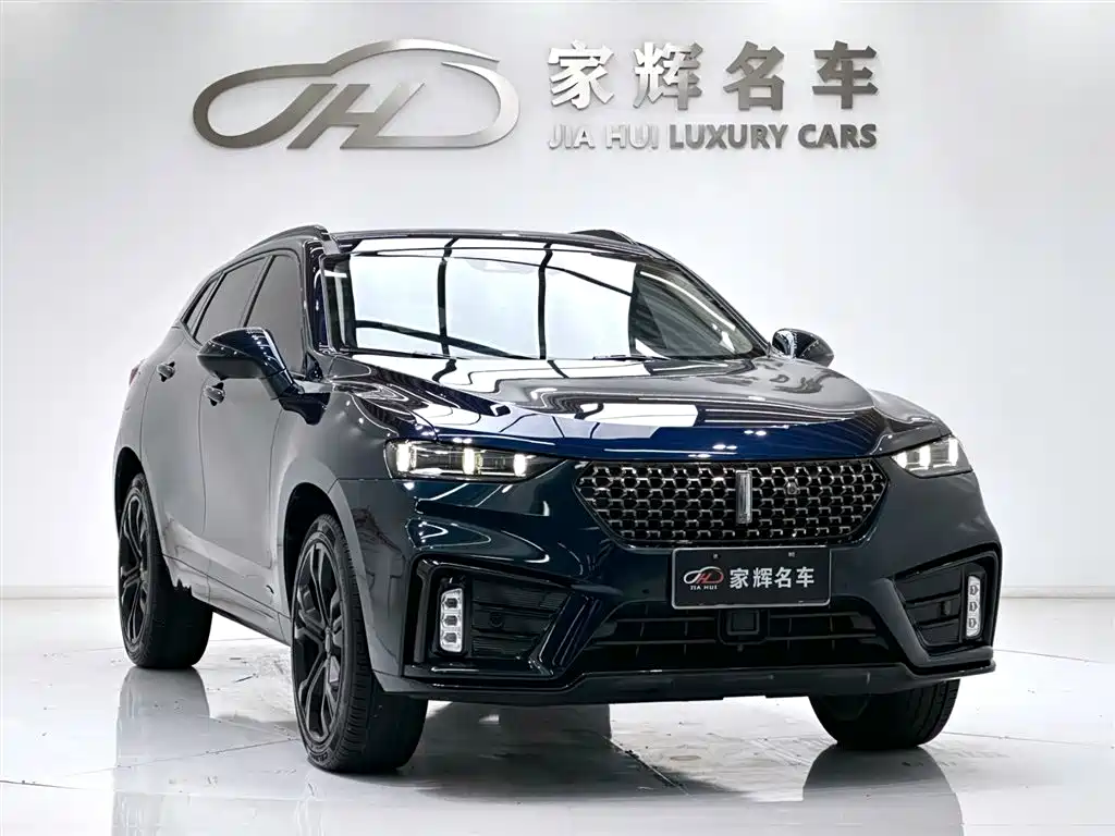 WEI PAI WEI BRAND VV7