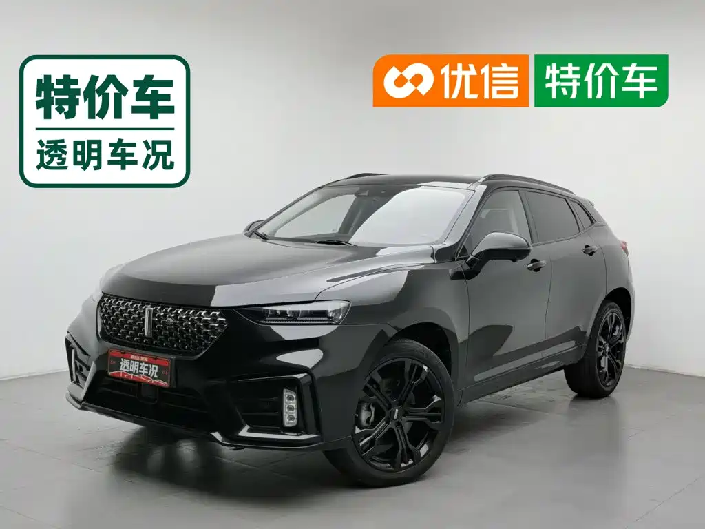 WEY VV7 2019 2020 Model 2.0T Flagship