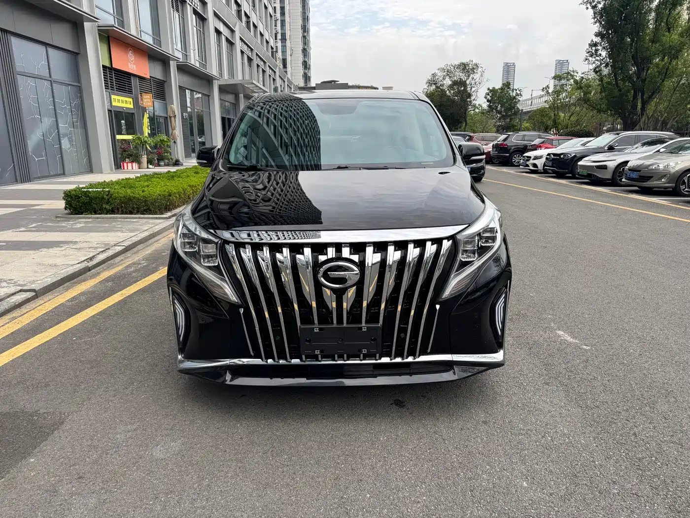 GAC Trumpchi Trumpchi M8 2021 Leading Show Series 390T Prestige Edition фото 2