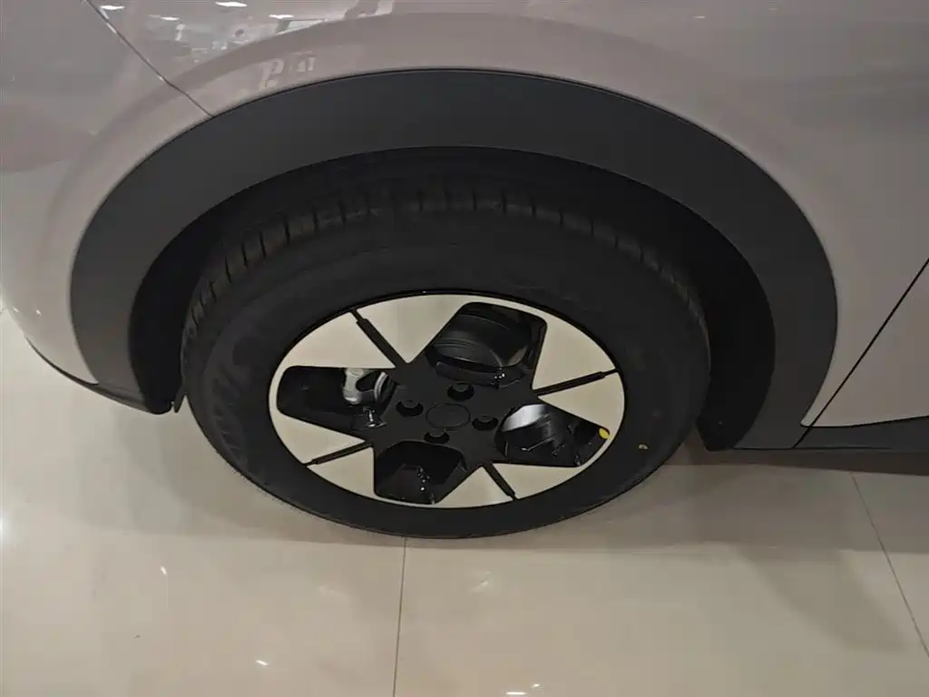Geely Galaxy Starry Wish 2026 Edition 410km Freedom Version фото 23