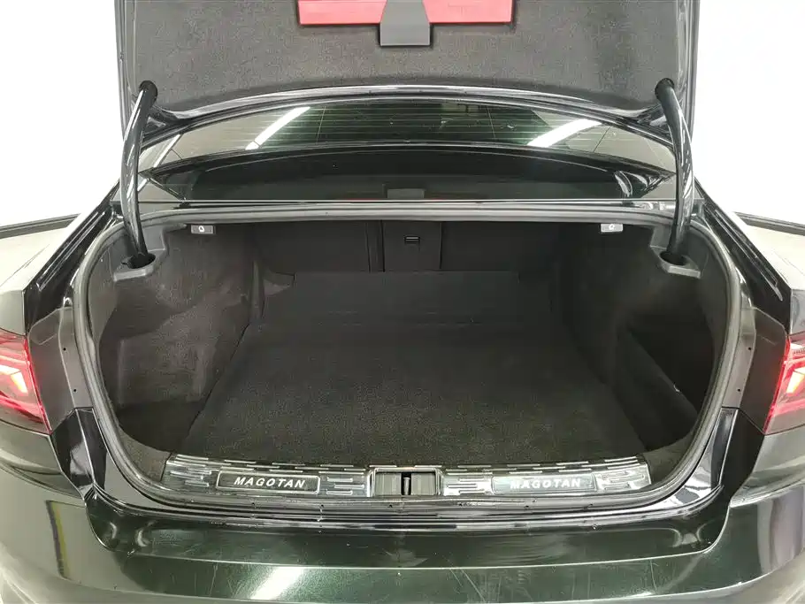Volkswagen Magotan 2020 380TSI DSG Luxury фото 4