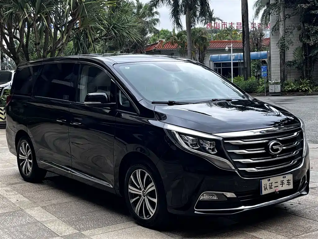 GAC Trumpchi Trumpchi M8 2018 320T Premium Edition фото 22