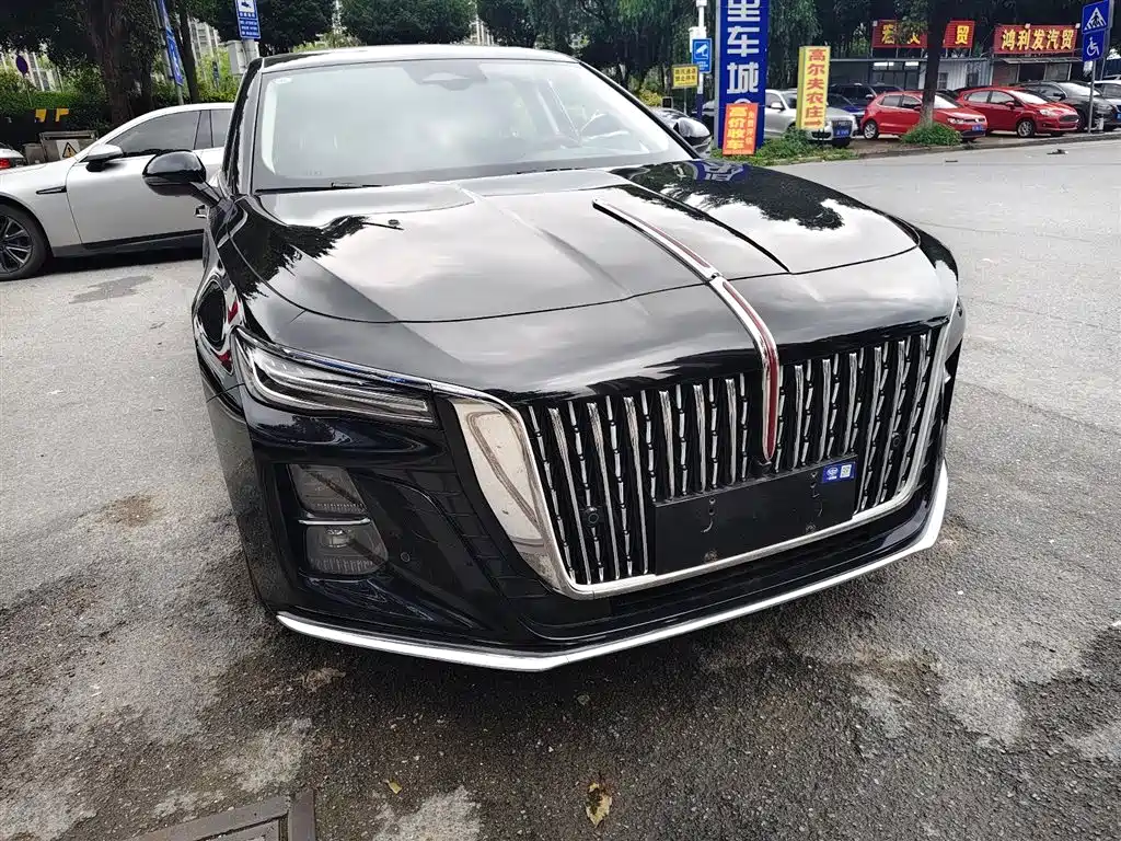 Hongqi H5 2023 2.0T Auto Smart Connect Flag Enjoy фото 3