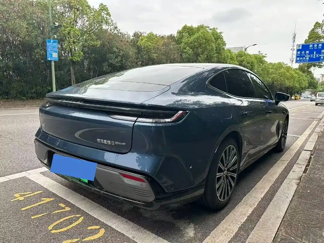 Geely Galaxy Galaxy Xingyao 8 2025 130km EM-i Premium Edition фото 9