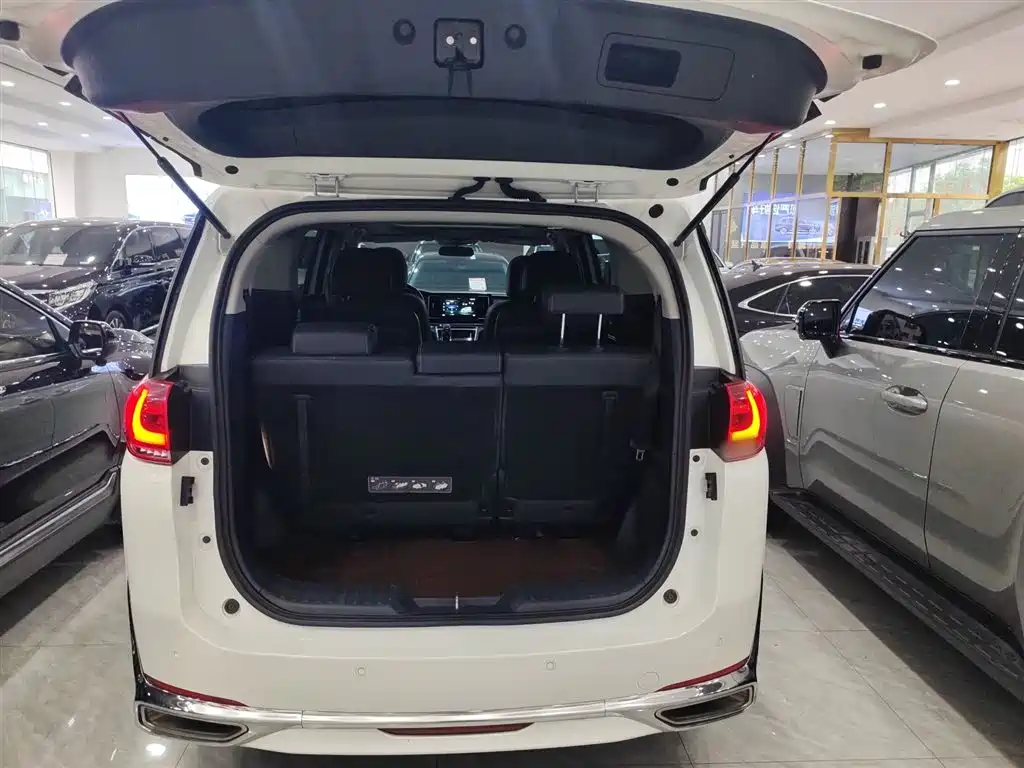 GAC Trumpchi Trumpchi M8 2021 Leading Show Series 390T Premium Edition фото 15