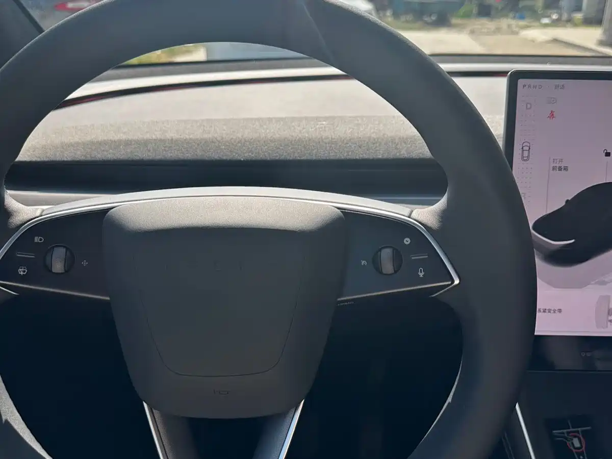 Tesla Model Y 2026 Rear-Wheel Drive фото 9