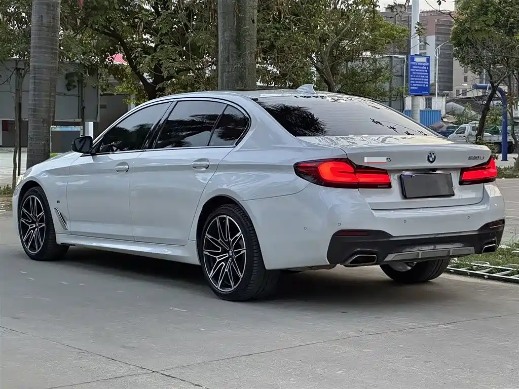 BMW 5 Series 2021 530Li Premium M Sport Package фото 7