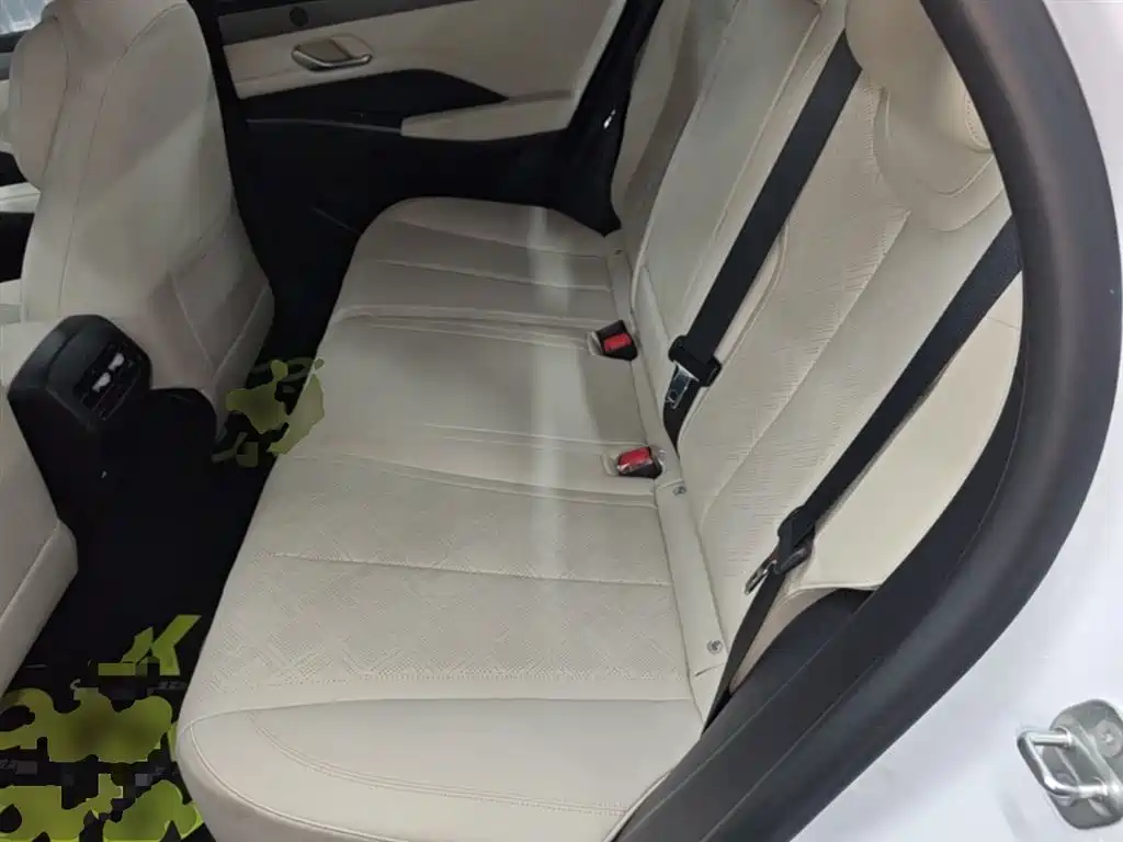 BYD Qin PLUS 2025 EV Smart Drive Edition 510KM Leading Type фото 17