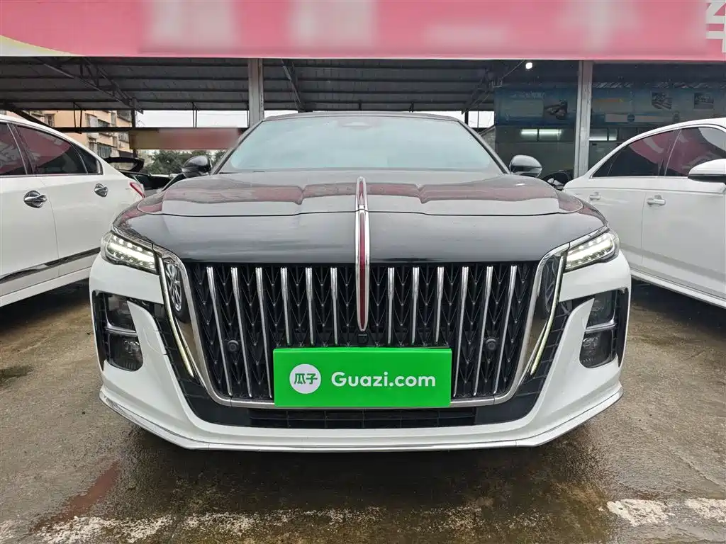 Hongqi H5 2023 2.0T Auto Smart Connect Flag Enjoy фото 3