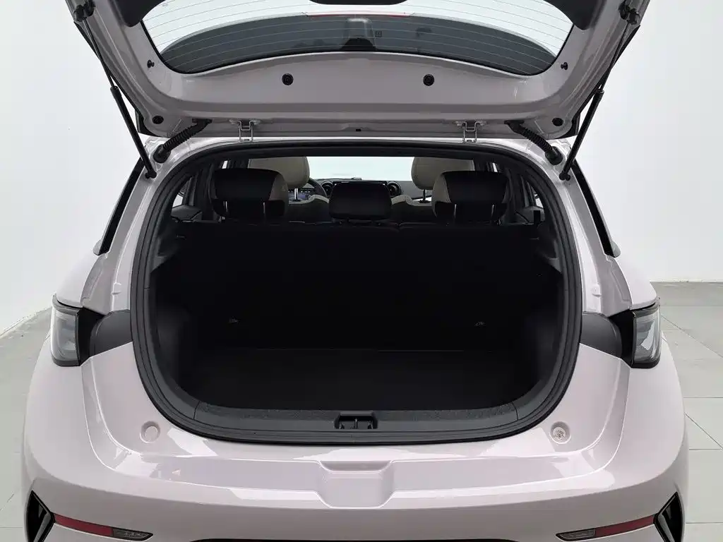BYD Dolphin 2026 2025 Smart Drive Edition 410km Fashion Version